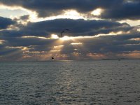 KW2009_20.jpg