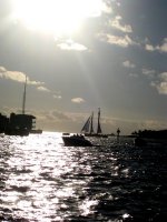 IMG_0907 mod.jpg