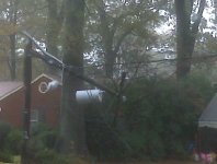 power+lines+down+noreaster.jpg