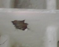 IMG00579.jpg