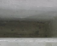 IMG00588.jpg