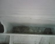 IMG00592.jpg