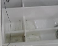 IMG00610.jpg