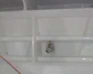 IMG00611.jpg