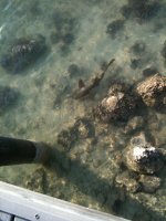 IMG_0806.jpg