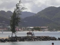 DSCN0613.jpg