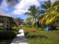 DSCN0618.jpg