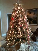 IMG_0843.jpg