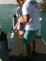 IMG_0850.jpg