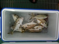 IMG_0853.jpg