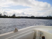 P1050027.jpg