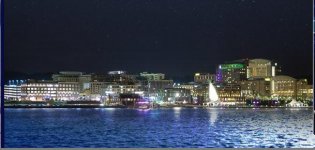 harbor.jpg