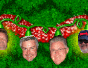 xmas serious.gif