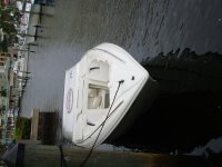 P2010050.jpg