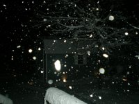 Feb2010Snow 015.jpg