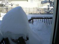 Feb2010Snow 022.jpg