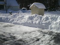 Feb2010Snow 026.jpg