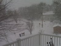 IMG00124.jpg
