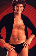 the hoff.jpg