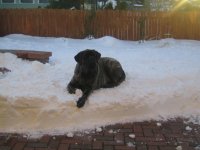 IMG_1236.jpg