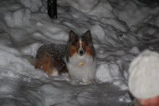 DSC_0525.jpg