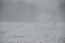 DSC_0008.jpg