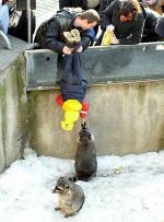 image0044.jpg