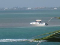 IMG_1246.jpg