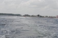 t4.jpg