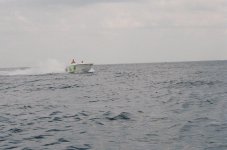 t6.jpg