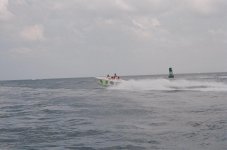 t8.jpg