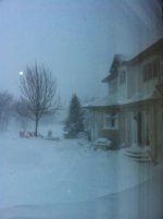 IMG_1125.jpg