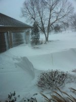 IMG_1126.jpg