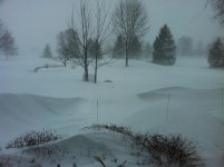 IMG_1128.jpg