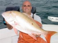 mutton snapper.jpg
