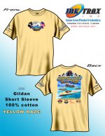 YELLOWHAZE copy.jpg