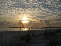 Destin 2006 184 (Large).jpg