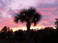 sunset small.jpg