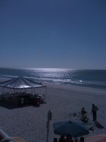 IMG_0029.jpg
