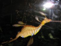 IMG_1459.jpg