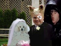 stecmariage.jpg