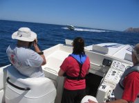 IMG_1437.jpg