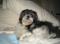 IMG_4212.JPG