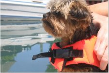 bentleyboat.jpg