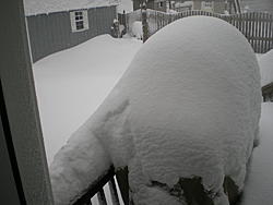 Feb2010Snow 019.jpg