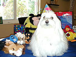 eueys bday partee 004.jpg