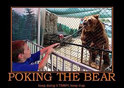 bear demotivational 1.jpg