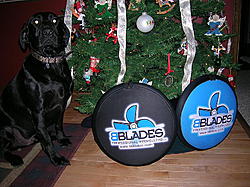 BBLADES prop covers XMAS 002.jpg