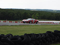 2008 Shelby Meet 075.jpg