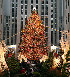 christmas-tree-nyc.jpg
